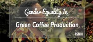 gender equality in green coffee production