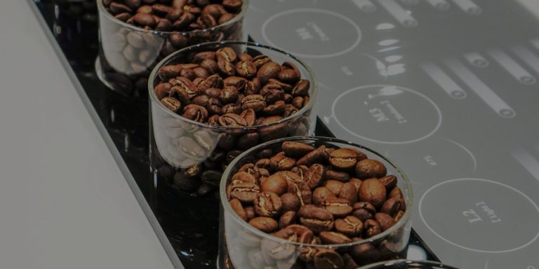 Ultimate Coffee Roasting Guide