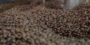 light roast coffee header image