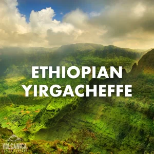 Ethiopian Coffee Yirgacheffe Organic