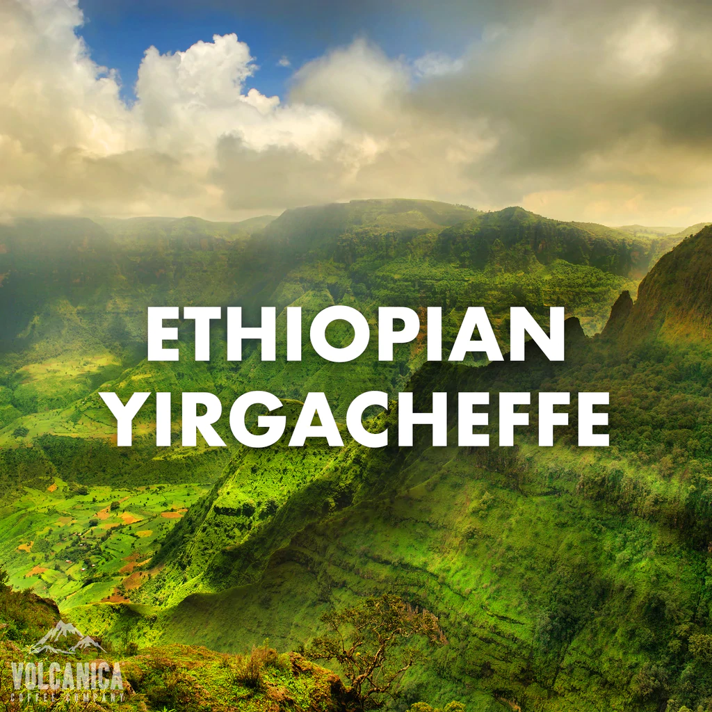 Organic Ethiopian Yirgacheffe