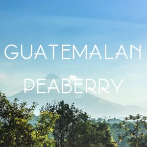 Guatemalan Peaberry Coffee