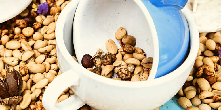Moldy beans in a white cup surrounded by more moldy beans.