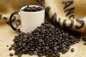 A large number of dark roast coffee beans next to a white cup. The white cup is filled with beans.