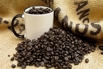 Best Dark Roast Coffee 2023 – Our Top Dark Roasts Revealed